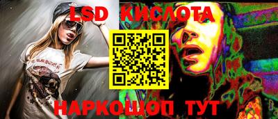 крисы Кулебаки