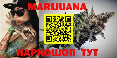 крисы Кулебаки