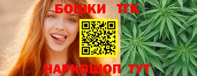 крисы Кулебаки