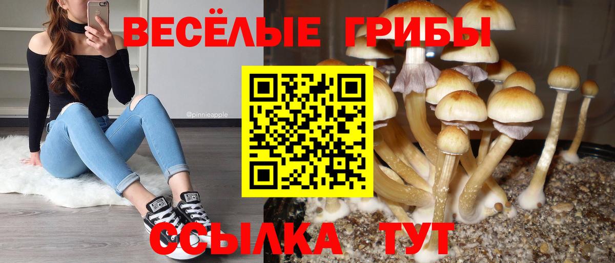 Псилоцибиновые грибы прущие грибы  Галлюциногенные грибы GOLDEN TEACHER  Вход с VPN  Шебекино 